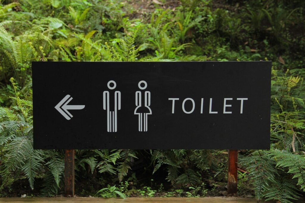 Restroom Plumbing Services